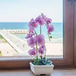 3l Przy Molo * 科沃布热格